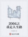 2004֮��������·